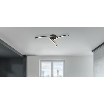 Globo - LED ytmonterad ljuskrona 3xLED/6W/230V 3000/4000/6000K