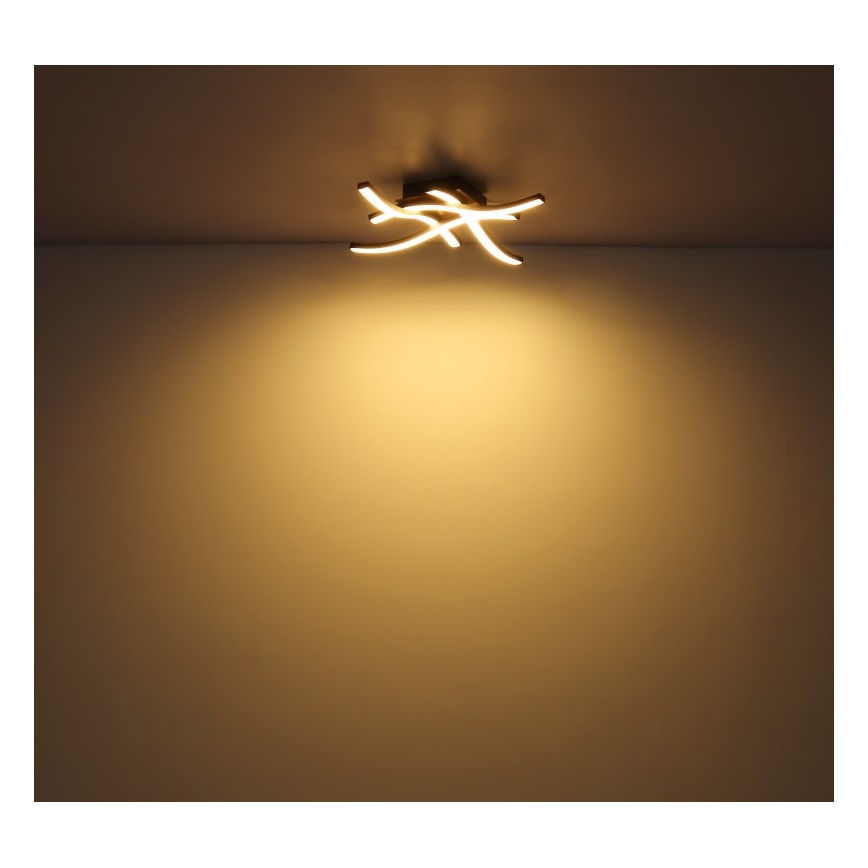 Globo - LED fastsatt Ljuskrona  4xLED/5W/230V