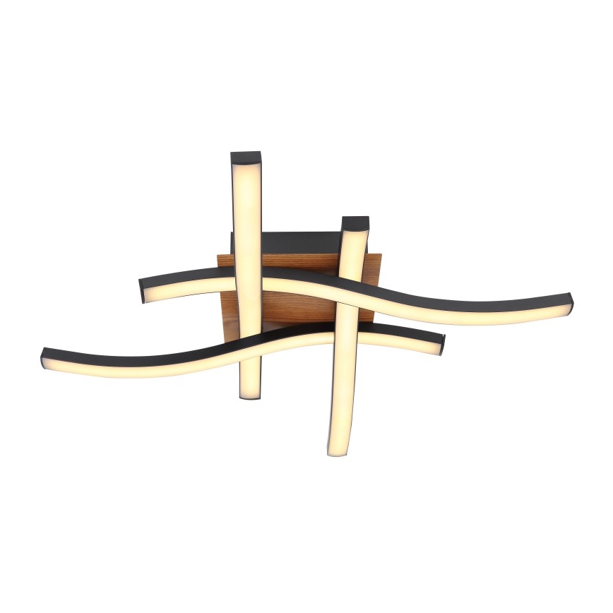 Globo - LED fastsatt Ljuskrona  4xLED/5W/230V