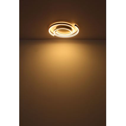 Globo - LED taklampa LED/38W/230V