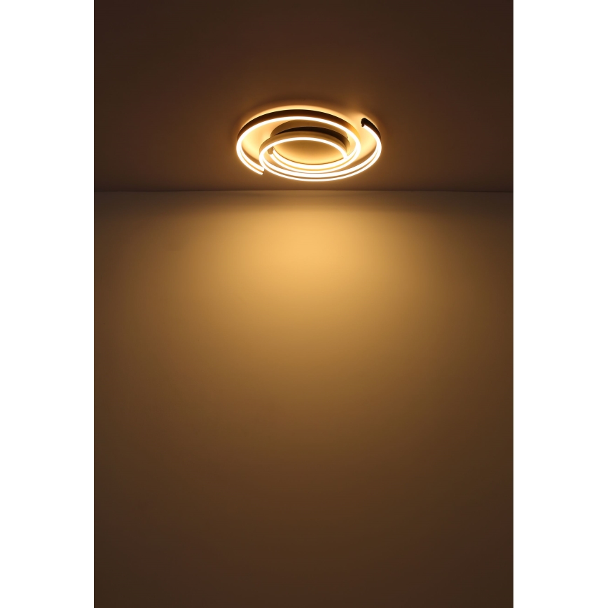 Globo - LED taklampa LED/38W/230V