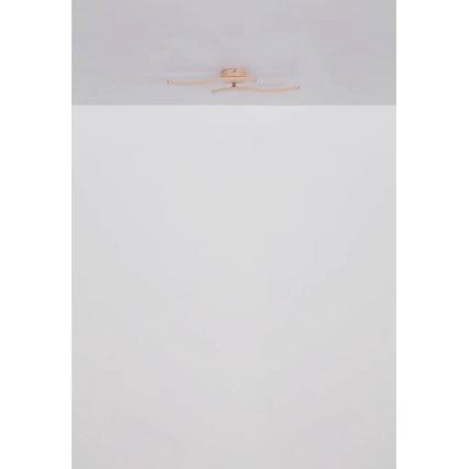 Globo - LED ytmonterad ljuskrona LED/12W/230V 3000K orange