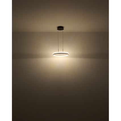 Globo - LED-pendellampa på vajer LED/40W/230V 3000/4000/6000K Ø 39,7 cm