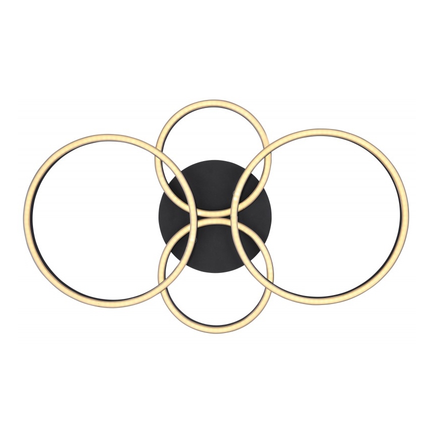 Globo - LED fastsatt Ljuskrona  LED/40W/230V