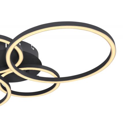 Globo - LED fastsatt Ljuskrona  LED/40W/230V