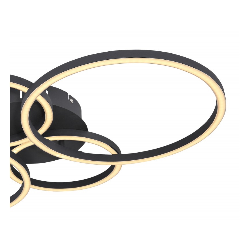 Globo - LED fastsatt Ljuskrona  LED/40W/230V