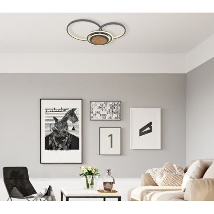 Globo - LED taklampa LED/40W/230V