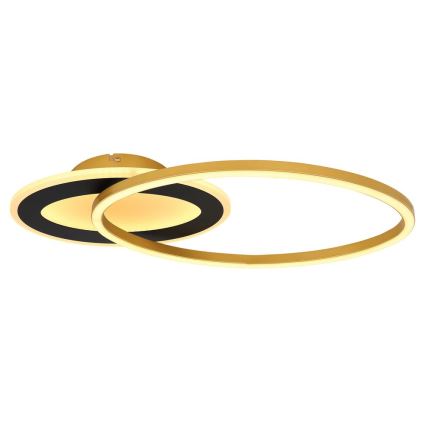 Globo - LED Takmonterad taklampa LED/24W/230V