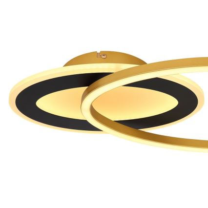 Globo - LED Takmonterad taklampa LED/24W/230V