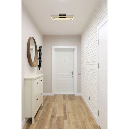 Globo - LED taklampa LED/24W/230V 4000K guld