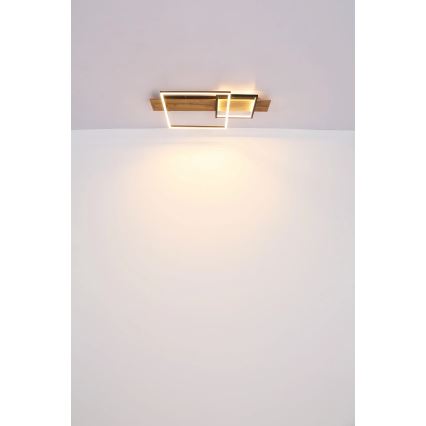 Globo 67289D1 - LED-taklampa VANNI LED/24W/230V 40x75 cm brun/svart