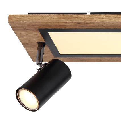 Globo - LED spotlampa LED/24W/230V + 3xGU10/5W