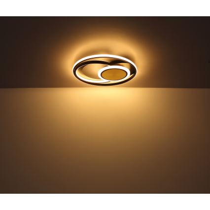 Globo - LED taklampa LED/24W/230V