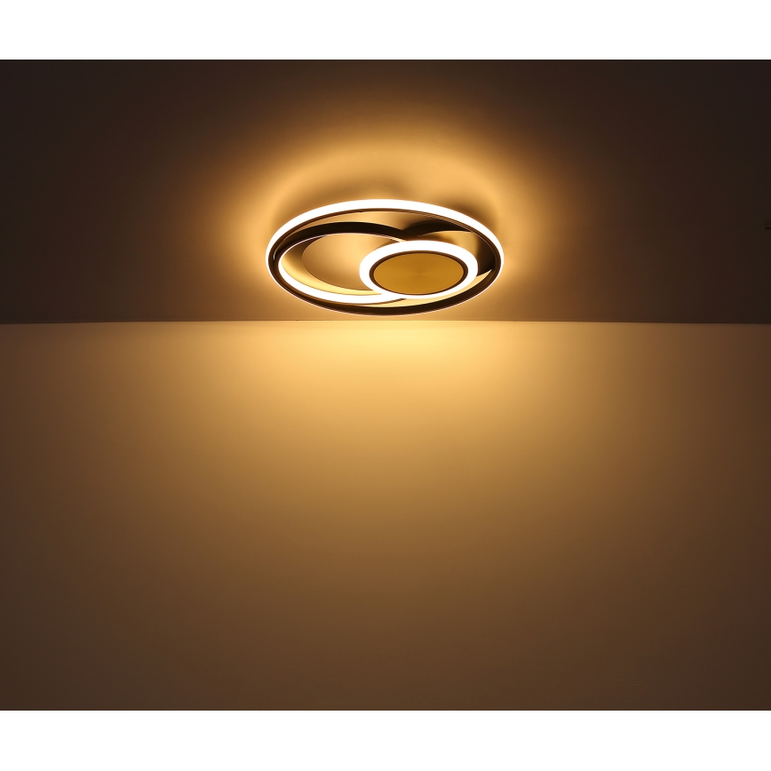 Globo - LED taklampa LED/24W/230V