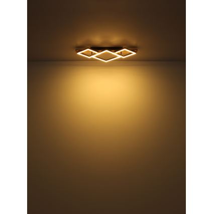 Globo - LED taklampa LED/24W/230V