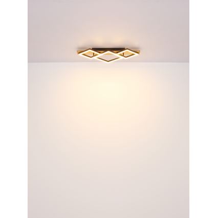 Globo - LED taklampa LED/24W/230V