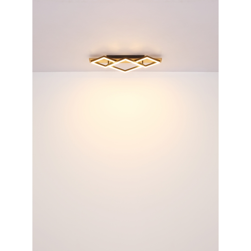 Globo - LED taklampa LED/24W/230V