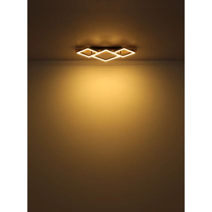 Globo - LED taklampa LED/24W/230V