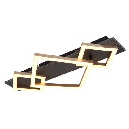 Globo - LED taklampa LED/24W/230V