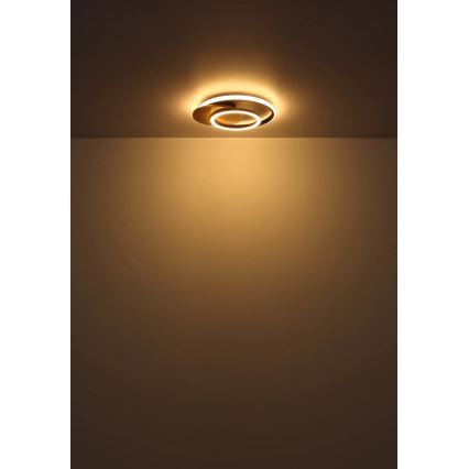 Globo - LED taklampa LED/24W/230V