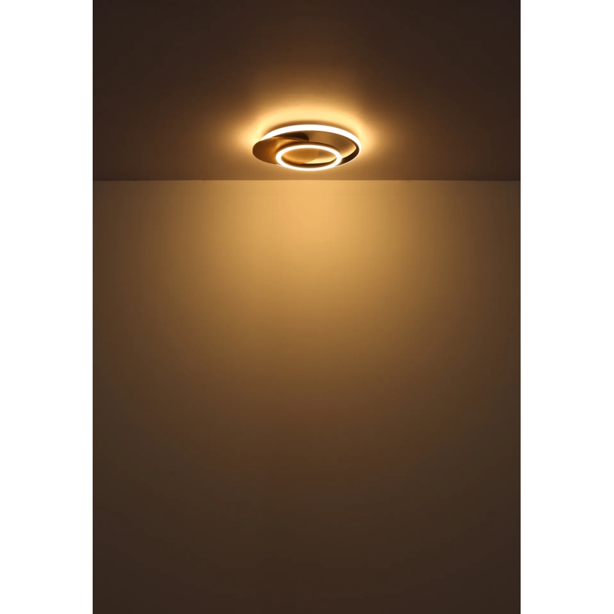 Globo - LED taklampa LED/24W/230V