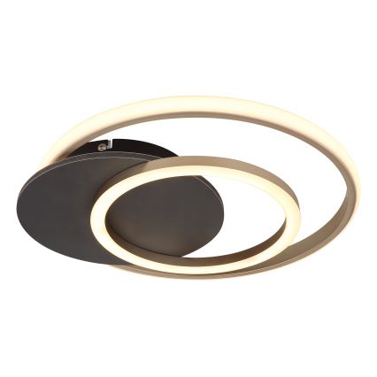 Globo - LED taklampa LED/24W/230V