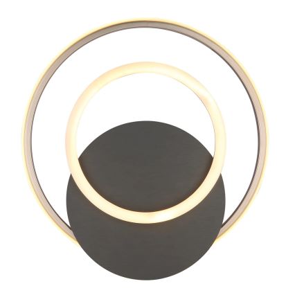 Globo - LED taklampa LED/24W/230V