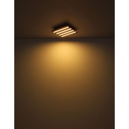 Globo - LED takarmatur LED/15W/230V 3000K 30x30 cm