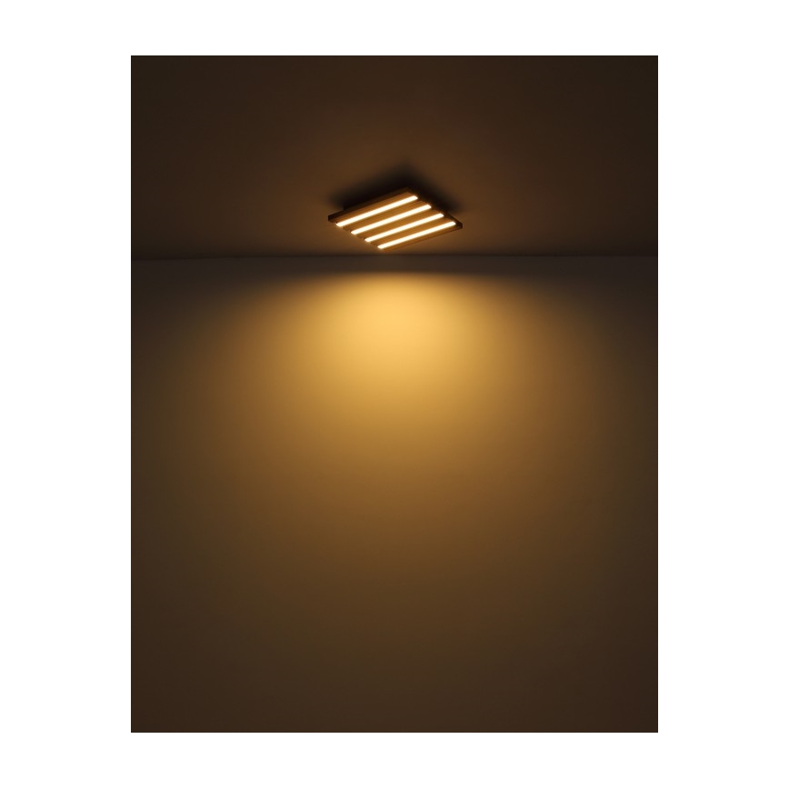 Globo - LED takarmatur LED/15W/230V 3000K 30x30 cm