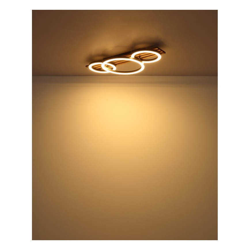 Globo - LED taklampa LED/24W/230V 3000K 30x62 cm