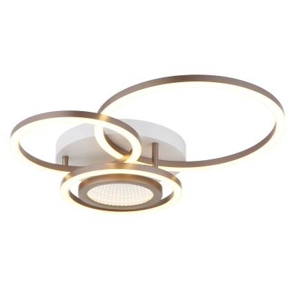 Globo - LED taklampa LED/40W/230V 3000K 49x39 cm