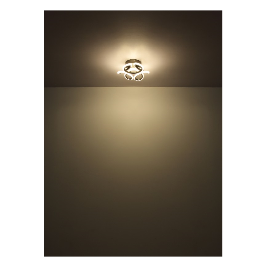 Globo - LED Taklampa LED/24W/230V 2700/4000/6000K Ø 26 cm svart