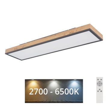 Globo - LED Dimbar taklampa LED/24W/230V 2700-6500K + fjärrkontroll