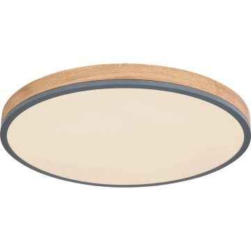 Globo - LED Dimbar taklampa LED/40W/230V 2700-6500K diameter 60 cm + fjärrkontroll brun/grå