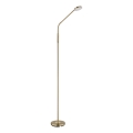 Globo - LED-dimmbar beröringsstyrd golvlampa LED/6,5W/230V 2700/3350/4000K mässing