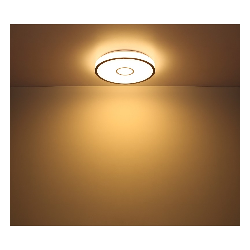 Globo- LED RGB Dimbart badrumslampa LED/30W/230V IP44 Wi-Fi Tuya + fjärrkontroll