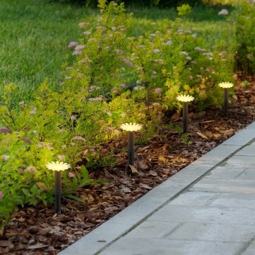 Globo - LED-solarslinga 5xLED/3V IP44 300 mAh 2,2 m med blommor