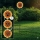 Globo - LED solcellslampa 200xLED/3V IP44 600 mAh blomma