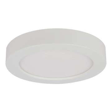 Globo - LED taklampa för badrum 1xLED/12W/230V