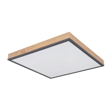 Globo - LED taklampa LED/24W/230V