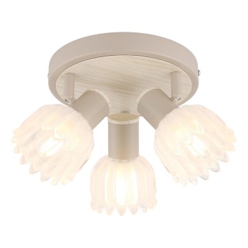 Globo - Spotarmatur 3xE14/40W/230V