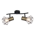 Globo - Spotbelysning 2xE27/40W/230V