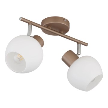 Globo - Spotlampa 2xE27/40W/230V