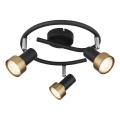 Globo - Spotlight  3xGU10/25W/230V svart/guld