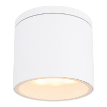 Globo - Taklampa för utomhusbruk 1xGX53/11W/230V IP44