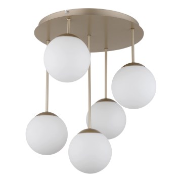 Globo - Takmonterad ljuskrona 5xE14/25W/230V mässing