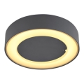 Globo - Utomhus LED taklampa  LED/12W/230V IP54