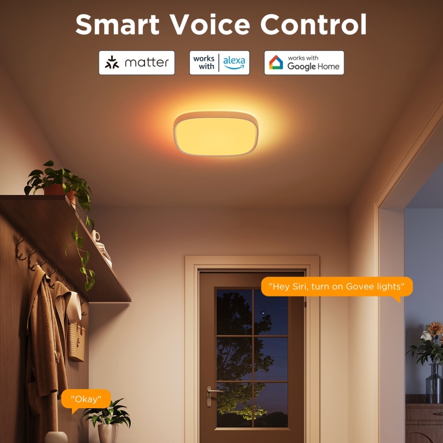 Govee - LED RGBIC Ljusreglerad taklampa LED/24W/230V 2700-6500K Wi-Fi 30x30 cm