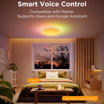 Govee - LED RGBIC Ljusreglerad taklampa LED/49W/230V 2700-6500K Wi-Fi diameter 38 cm