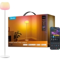 Govee - LED RGBICWW dimbar golvlampa LANTERN MATTER LED/24W/230V Wi-Fi 160 cm